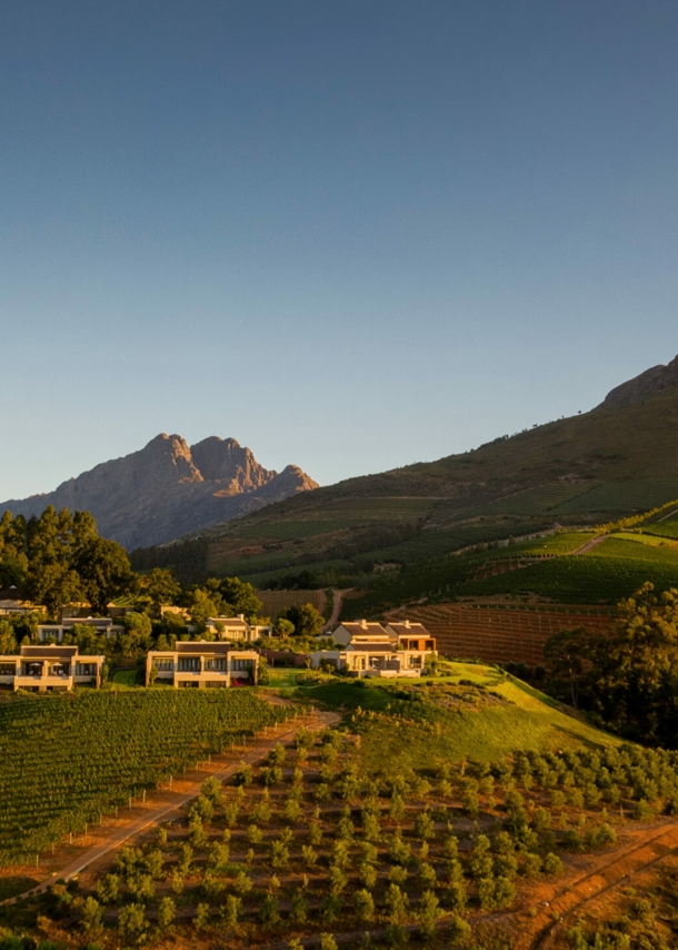 Das Anwesen eines Weinguts mit Weinbergen, eingebettet in eine grüne, hügelige Landschaft bei Abendsonne