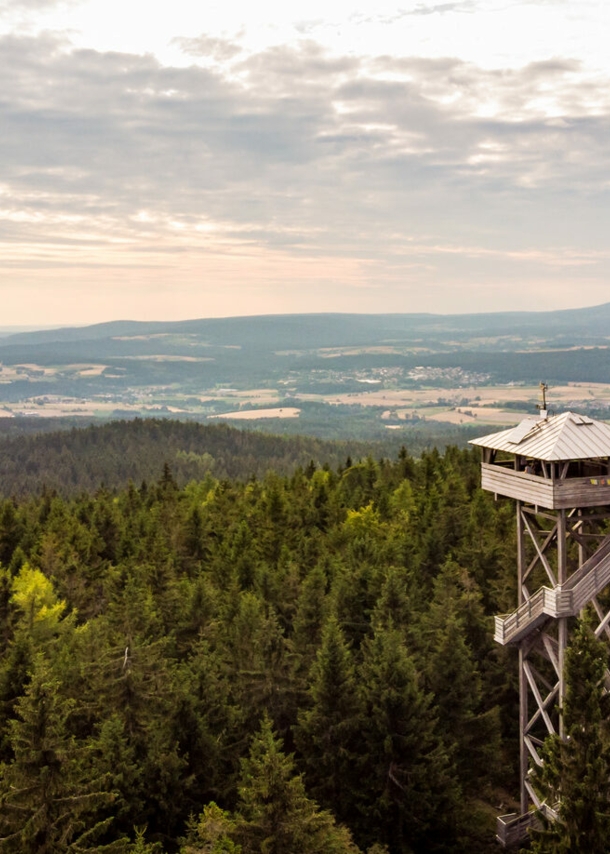 Aussichtsturm inmitten eines Waldes