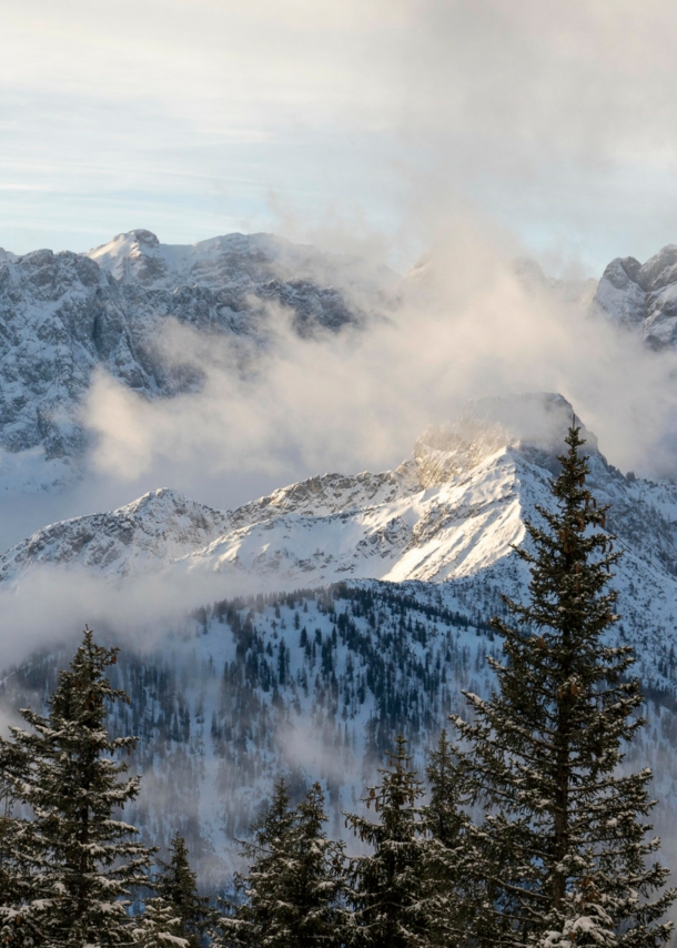 Schneebedeckte Berge, um die tiefhängende Wolken ziehen, im Vordergrund dunkle Tannen