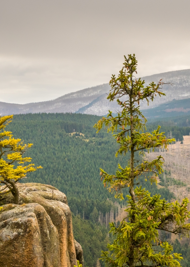 Blick auf den Brocken im Harz.