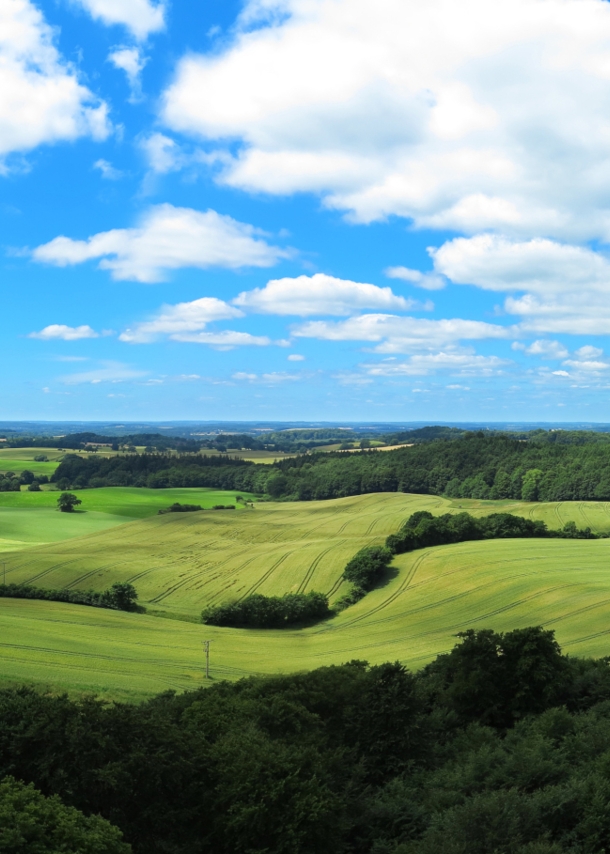 Der Bungsberg in der Holsteinischen Schweiz