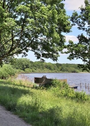 Ein malerischer Weg an einem See