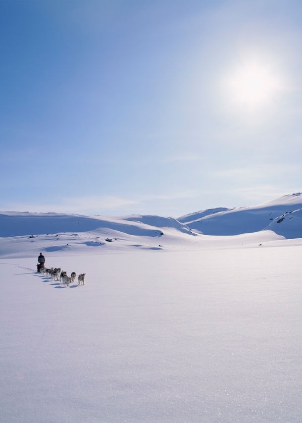 Ein Hundeschlitten im Schnee.