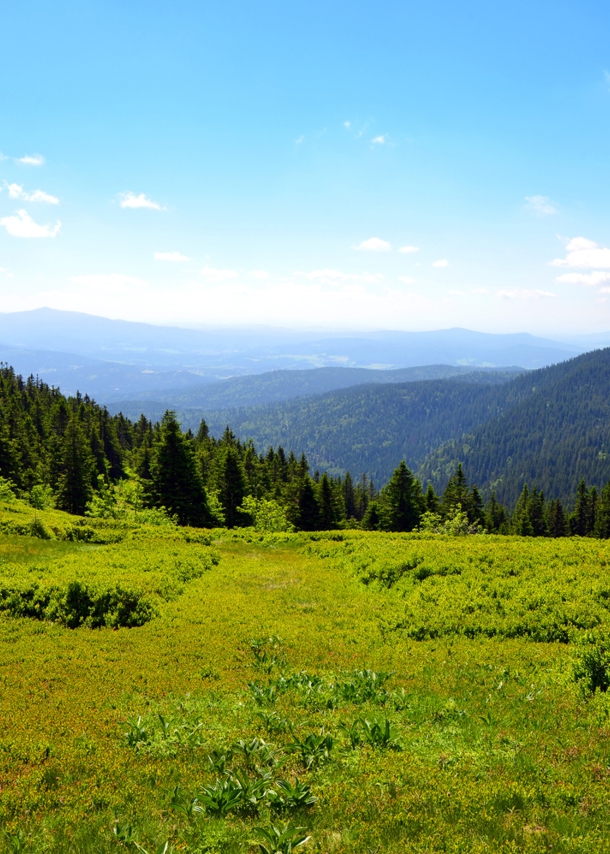 Blick von einem Berg über eine hügelige Berglandschaft