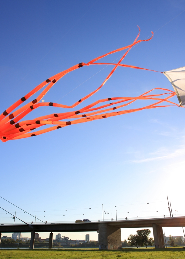 Ein Drache in Oktopusform und eine Japanflagge flattern über dem Rhein in der Luft