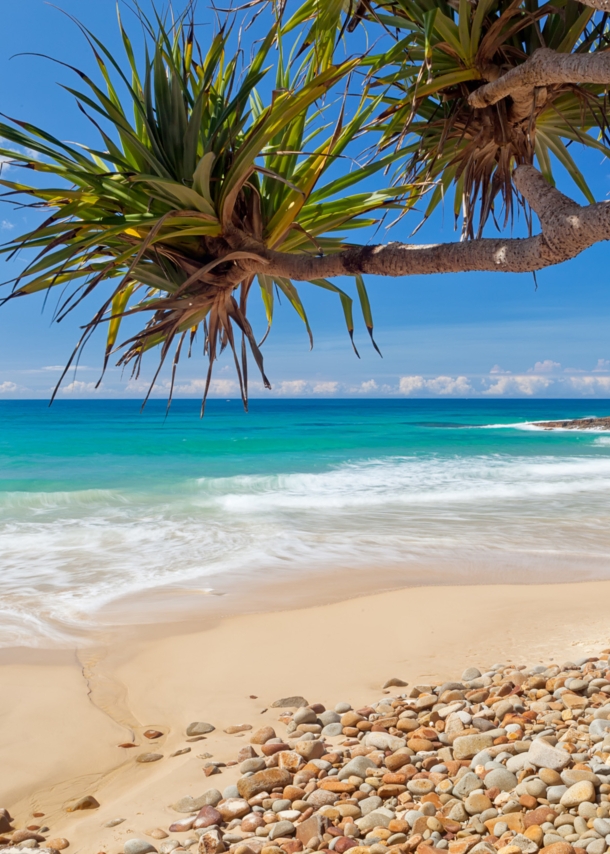 Ein Strand mit Palmen und sanfter Meeresbrandung