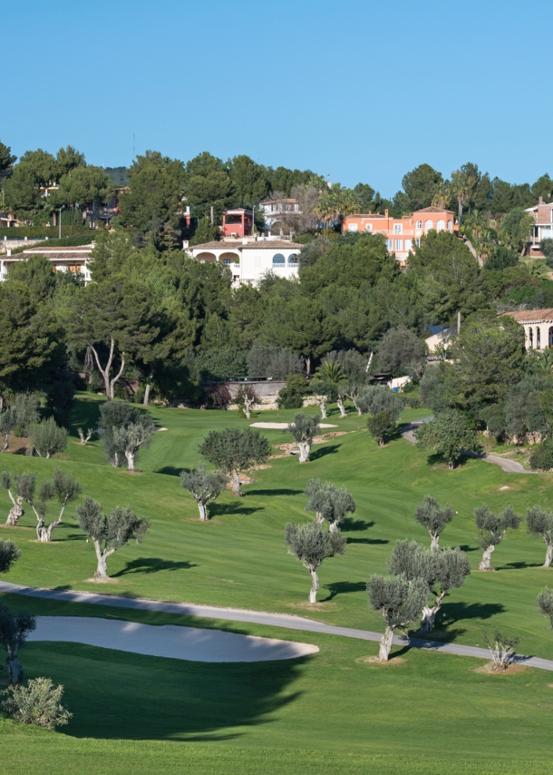 Ausschnitt des Golfklubs mit einem Bunker und vielen kleinen Olivenbäumen, vor der Kulisse des Ortes Bendinat