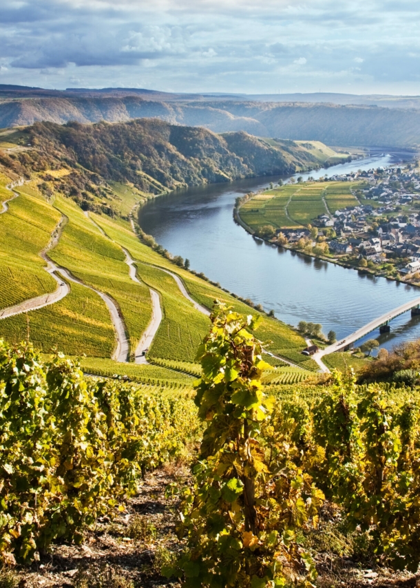 Panoramablick über die Moselschleife mit einer Serpentinenstraße zum Fluss hinunter