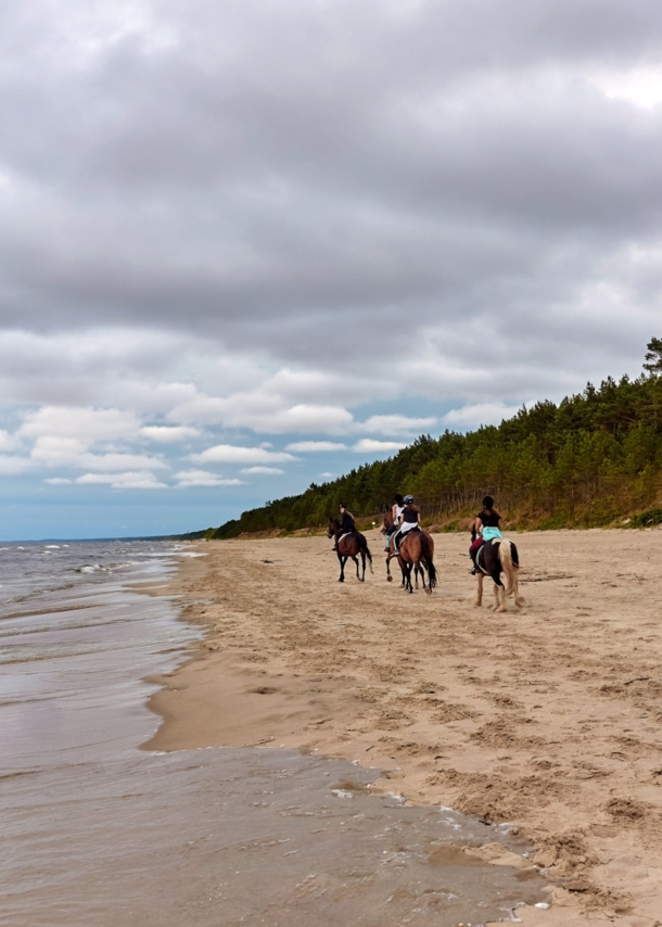 Vier Menschen auf Pferden reiten einen Strand entlang