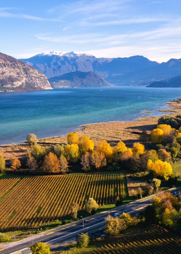 Weinbaugebiet an einem See vor Bergpanorama im Herbst