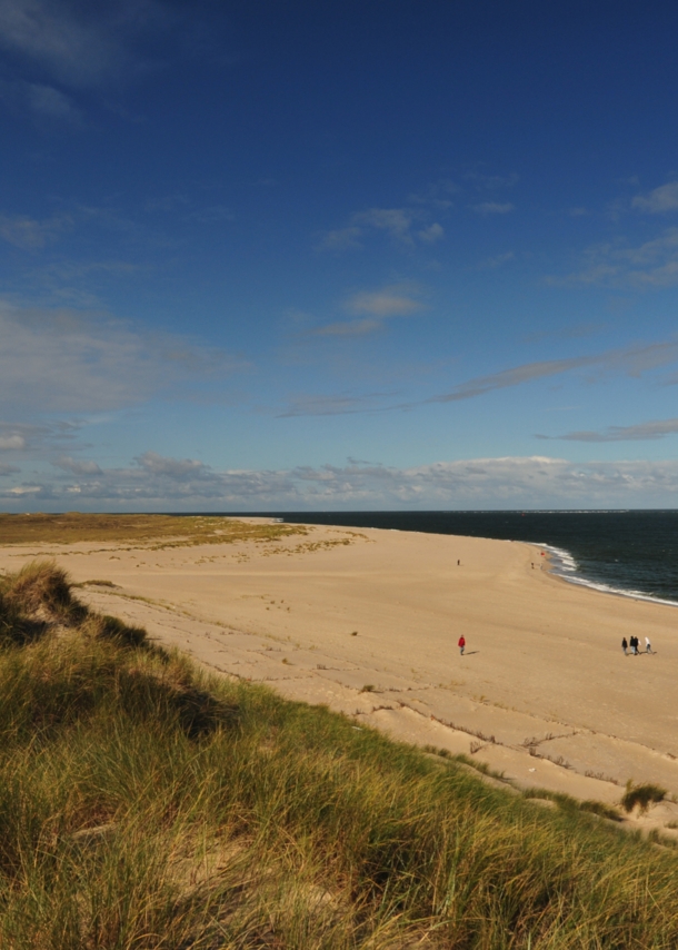 Personen spazieren auf einem breiten Sandstrand an einer grasbewachsenen Dünenlandschaft