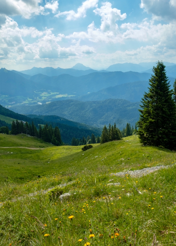 Ein wanderndes Paar mit Rucksäcken auf einem Weg inmitten einer grünen Berglandschaft.