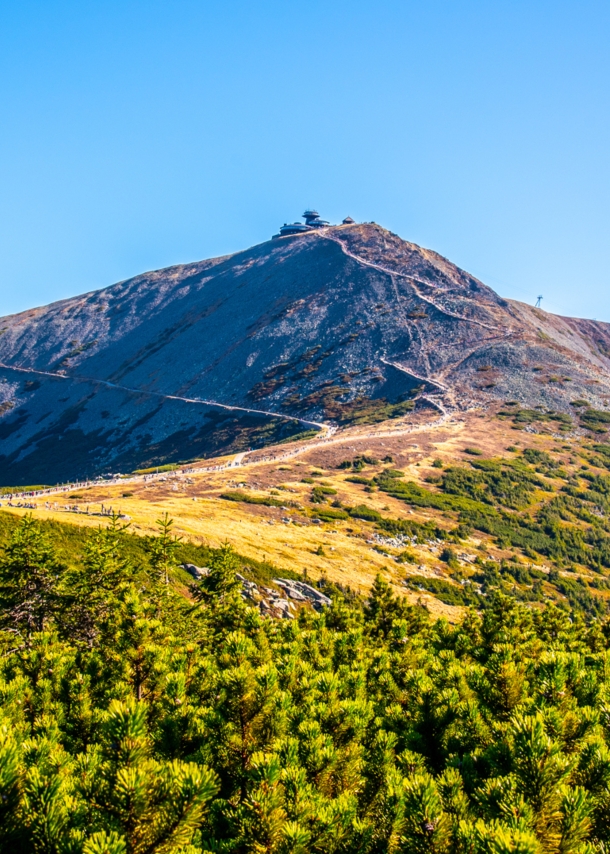 Flacher Berggipfel mit Waldfläche im Vordergrund.