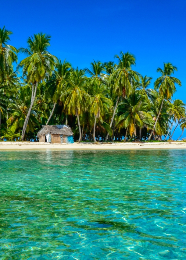 Eine kleine Insel mit Palmen umgeben von türkisblauem Meer.