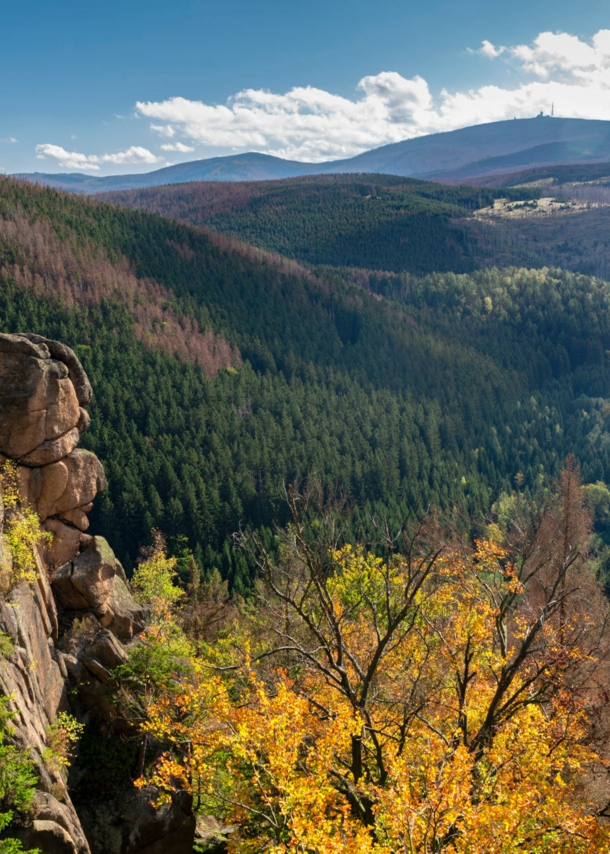 Blick über Waldlandschaft mit Gipfeln im Hintergrund im Herbst, ein Felsen im Vordergrund.