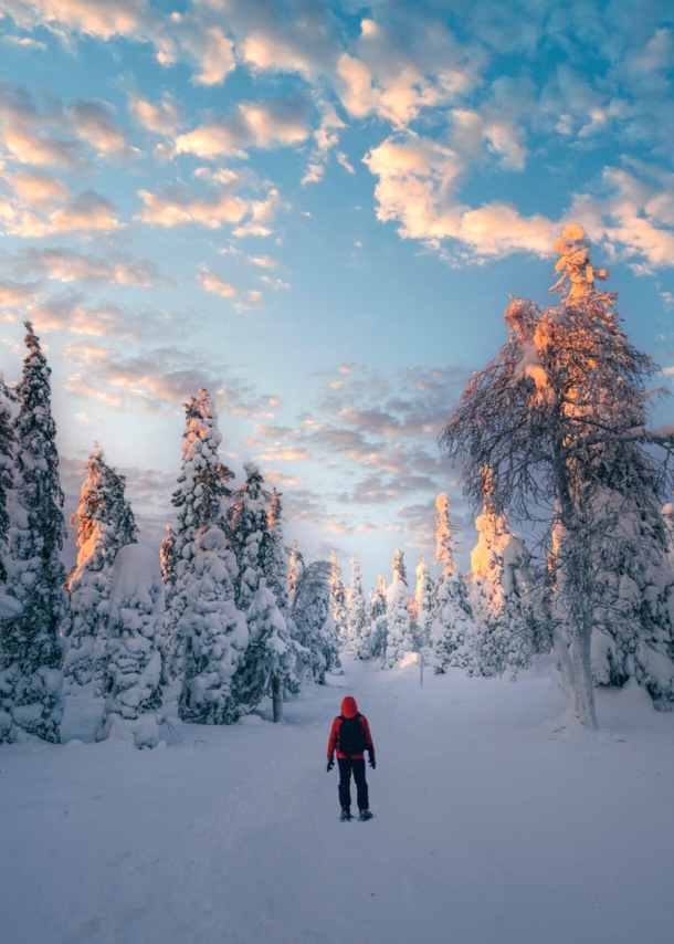 Eine Person von hinten in einem verschneiten Wald.