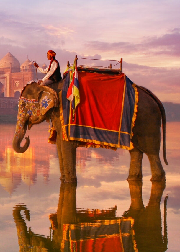 Ein indischer Mann sitzt auf einem geschmückten Elefanten an einem Fluss vor dem Taj Mahal im Sonnenuntergang.