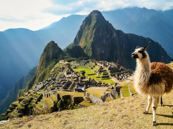 Panorama der Inka-Ruinenstätte Machu Picchu im Hochgebirge von Peru mit einem Lama im Vordergrund