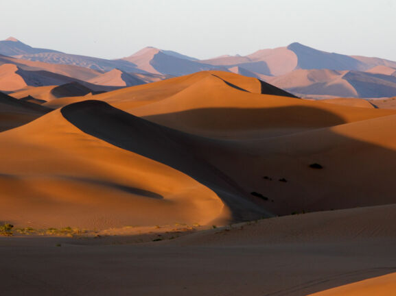 Panoramaaufnahme von Dünen in der Wüste Gobi.